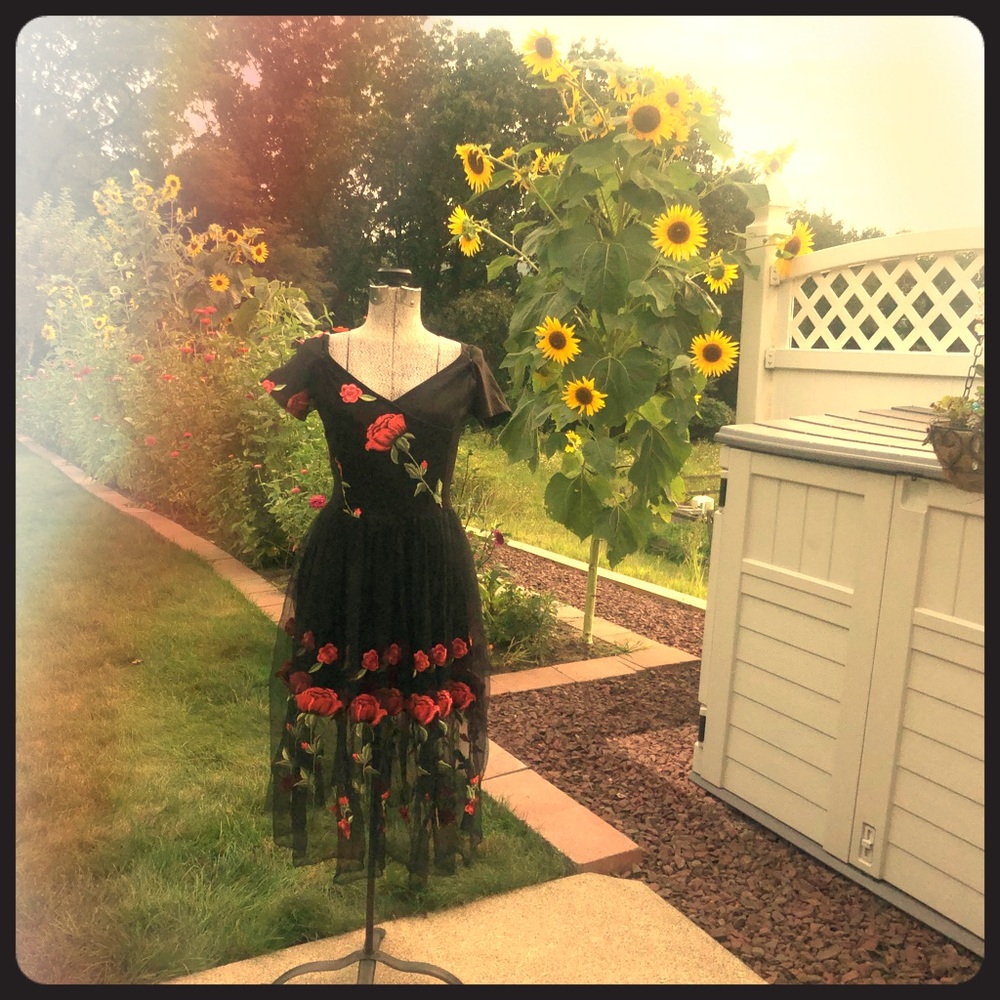 Sheer Black Midi Cocktail Dress